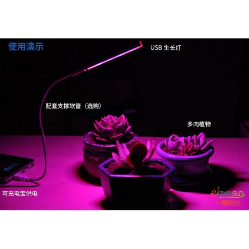 植物燈 生長燈USB LED室內仿太陽光補光燈花卉多肉紅藍燈USB燈延長蛇管