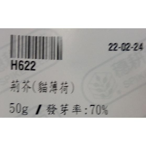 2022年荊芥種子(白花貓薄荷種子)=貓穗草=心葉荊芥25元1克約1250粒,50克1200元
