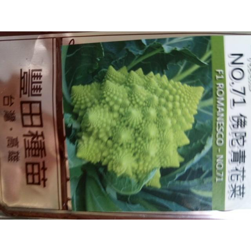 NO.71佛陀花椰菜種子100粒Brassica oleracea var. botrytis