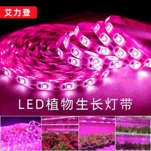 【嘉義市出貨】Led 2835植物燈帶植物生長燈多肉燈全光譜5V補光燈USB燈條