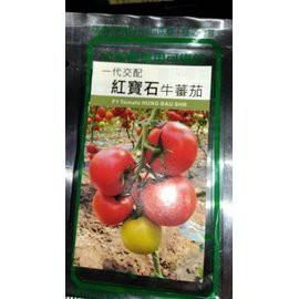 紅寶石牛蕃茄種子一代交配20粒