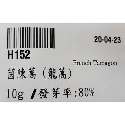 2020年(種子)法國龍艾=茵陳蒿=龍蒿Tarragon10克699元