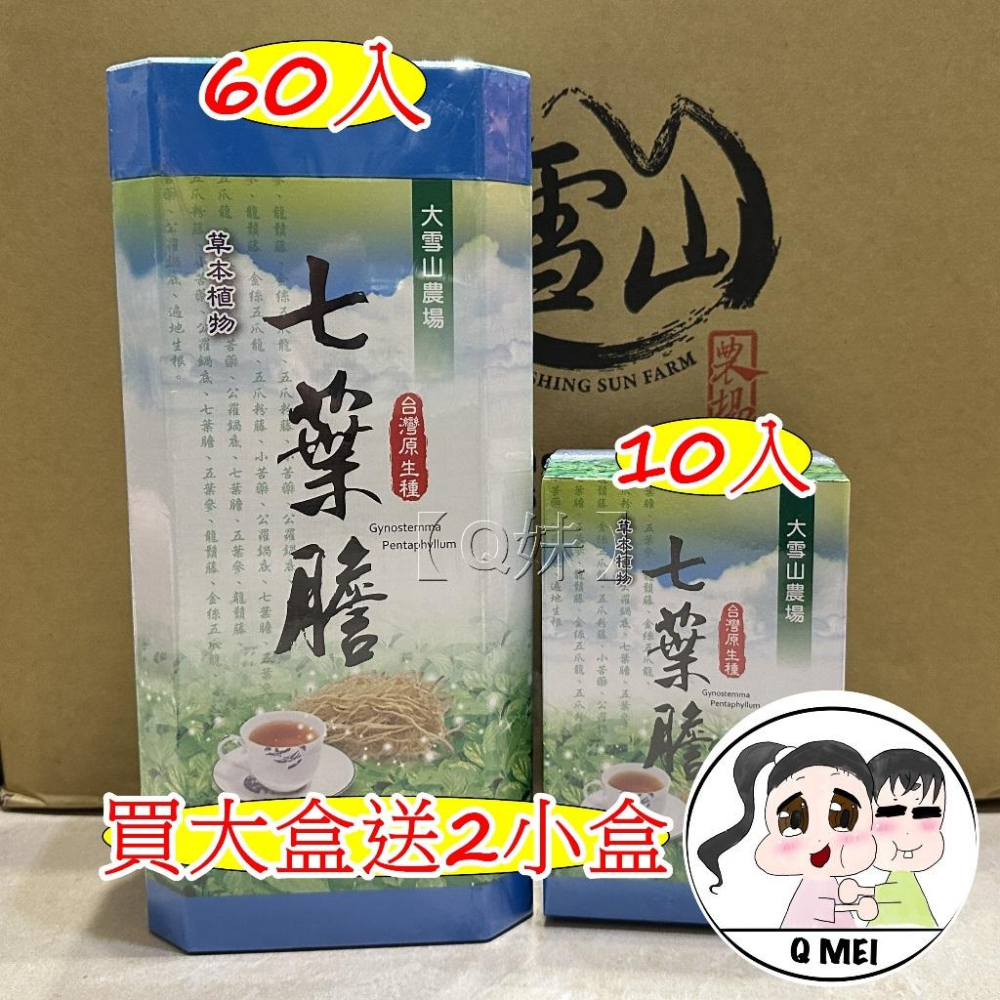 【Q妹】開發票 大雪山 農場 大雪山農場 明日葉 海人蔘茶 金線蓮 七葉膽 茶 茶包 買大送小 (60包/盒)-細節圖2