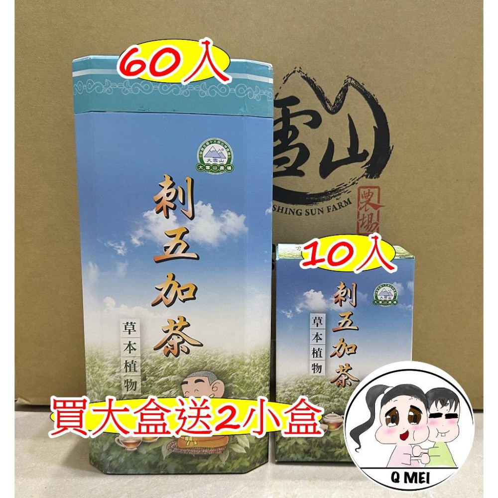 【Q妹】開發票 大雪山 農場 大雪山農場 明日葉 海人蔘茶 金線蓮 七葉膽 茶 茶包 買大送小 (60包/盒)-細節圖4