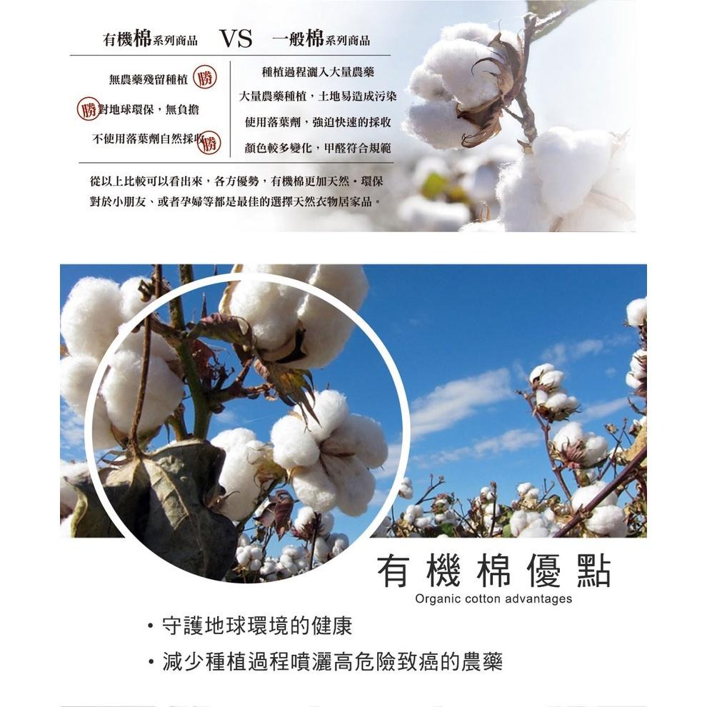 台灣製造【MORINO摩力諾 有機棉歐色緞條浴巾】浴巾 有機棉 無農藥棉花 100%純棉 瞬間吸水【LD593】-細節圖4