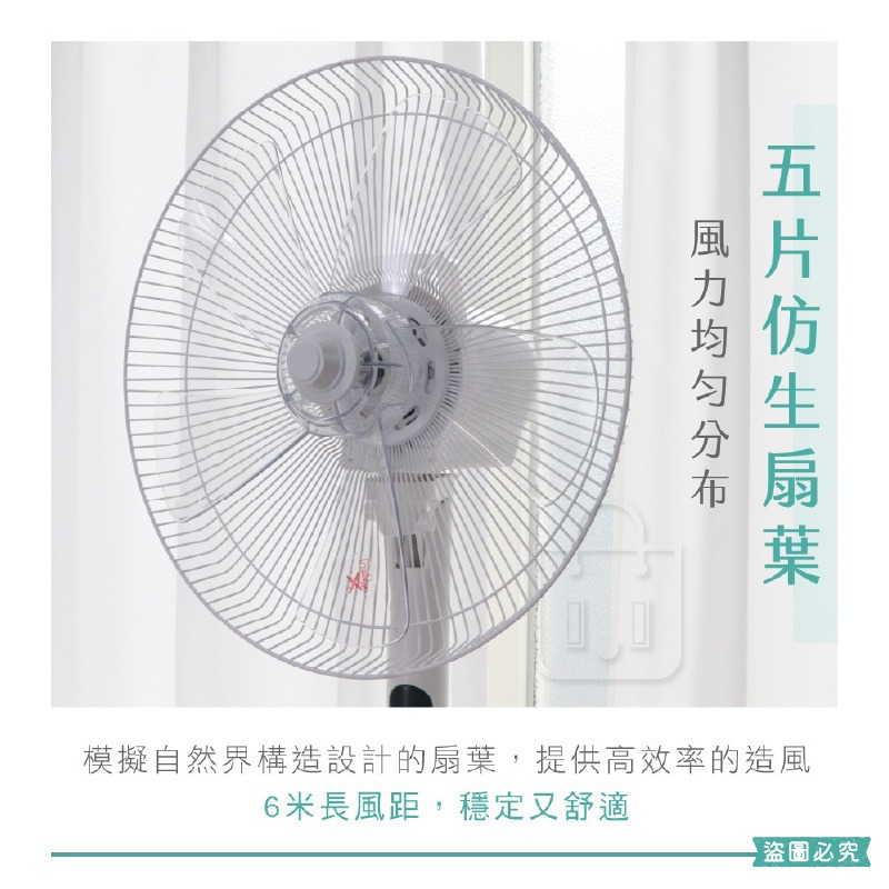 【KINYO 14吋機械式直立電風扇】風扇 循環風扇 直立風扇 可拆卸清洗 三檔風速【LD1292】-細節圖7