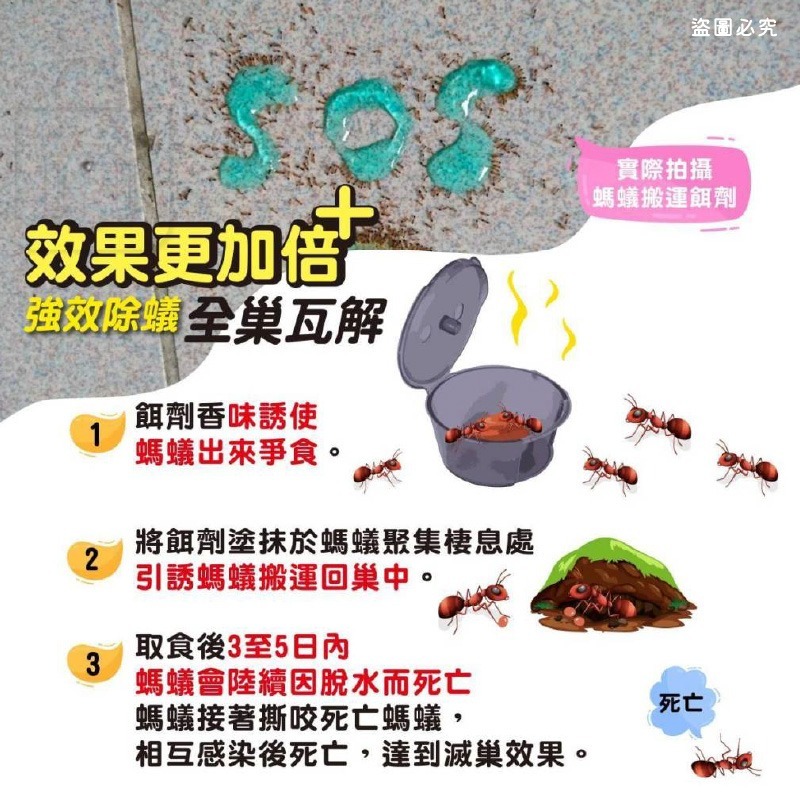 台灣製造【奧除 除蟻滅劑】蟻粒 螞蟻藥 火蟻 附贈4入餌盒 連鎖滅蟻 螞蟻藥 火蟻 劑量強【LD1294】-細節圖7