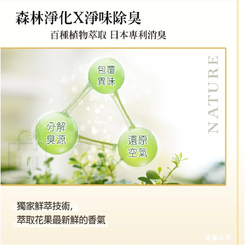 【Farcent 香水衣物香氛袋(3入/盒)】小蒼蘭英國梨 同名花語 衣物 香氛袋 香水【LD1314】-細節圖6