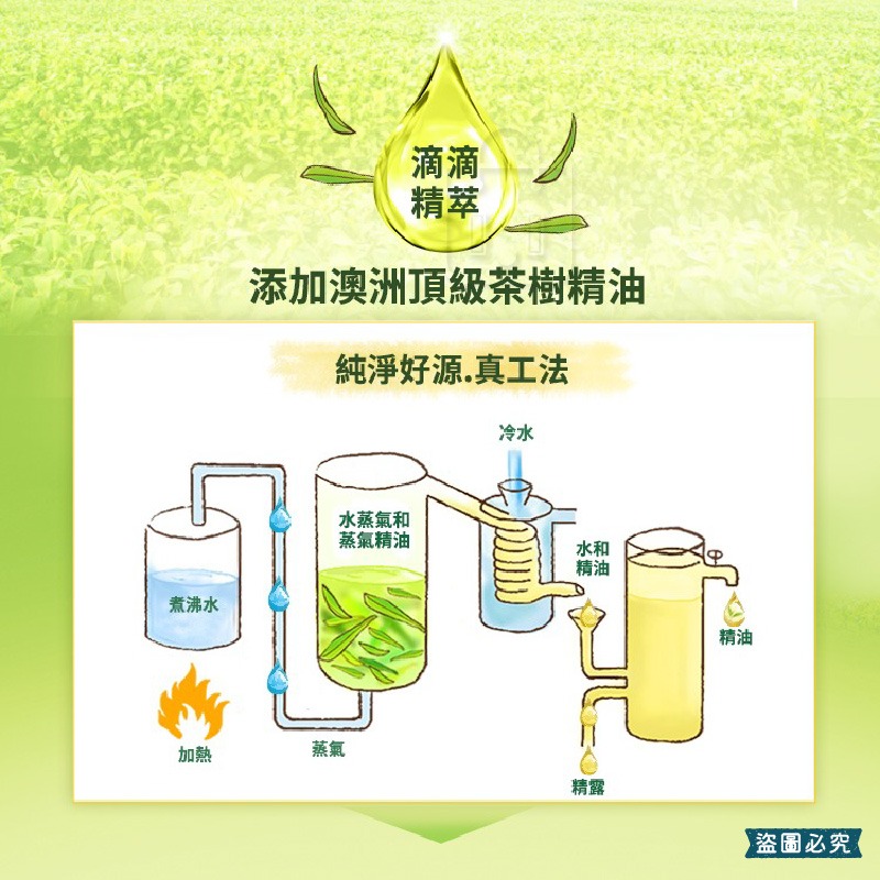 【茶樹莊園 茶樹抗菌洗手慕斯 500g】溫和 抗菌 洗手乳 洗手液 LD1321-細節圖6