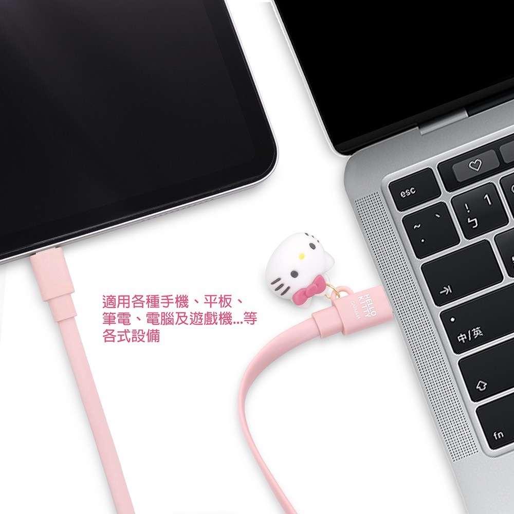 GARMMA Hello Kitty Type-c to Type-c PD快充傳輸充電線-細節圖3