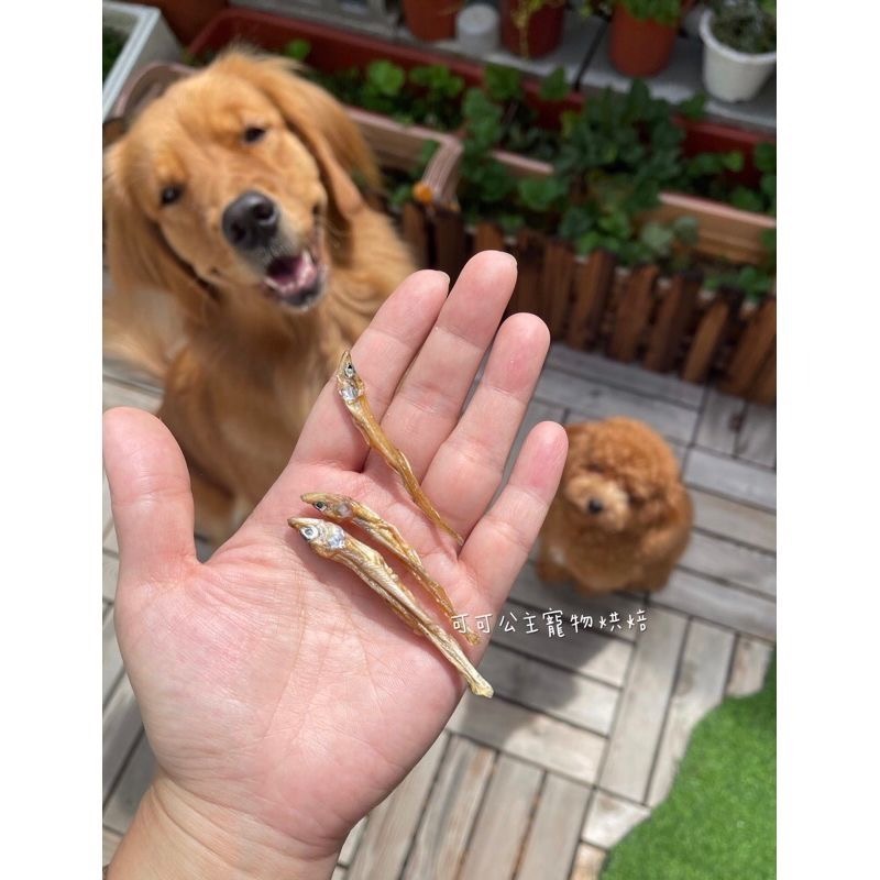 爆卵鱈香魚💕🐾小公主寵物烘培🐾💕 鮭魚塊/帶皮鮭魚乾/三文魚/寵物零食/雞肉條/訓練獎勵/貓狗零食/手作零食/手-細節圖2