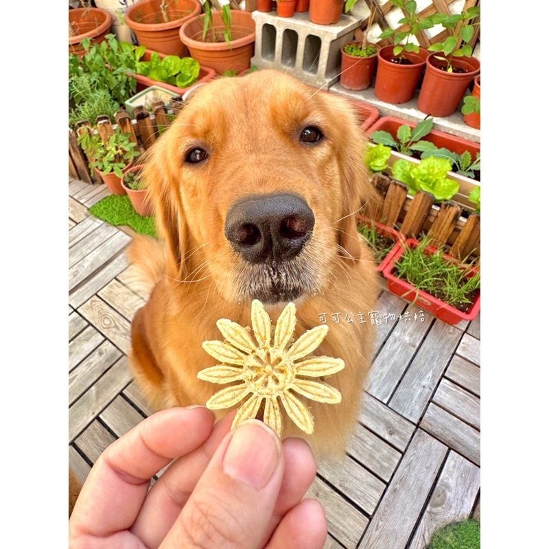 瑪格麗特酥💕🐾小公主寵物烘培🐾💕貓狗寵物零食/雞肉條/訓練獎勵/雞肉乾/手做餅乾/狗聚/交換禮物磨牙/露營野餐-細節圖5