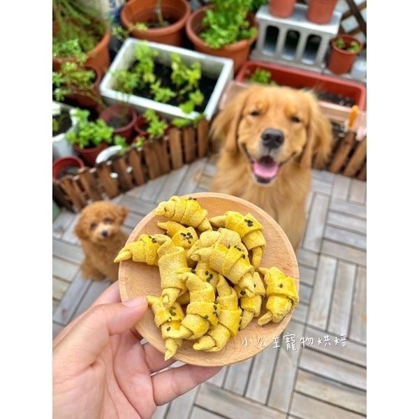 南瓜雞肉牛角酥💕🐾小公主寵物烘培🐾💕貓狗寵物零食/雞肉條/訓練獎勵/雞肉乾/手做餅乾/狗聚/交換禮物/磨牙/露營-細節圖4