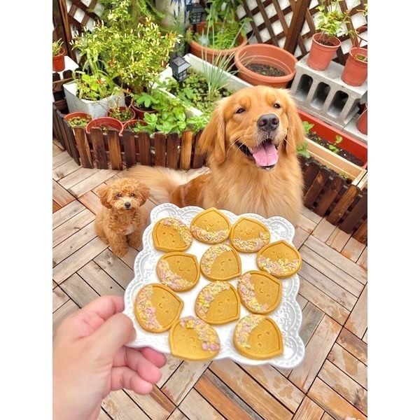 繽紛小栗子💕🐾小公主寵物烘培🐾💕寵物零食/雞肉條/訓練獎勵/貓狗零食/雞肉乾/手做餅乾/狗聚/交換禮-細節圖3