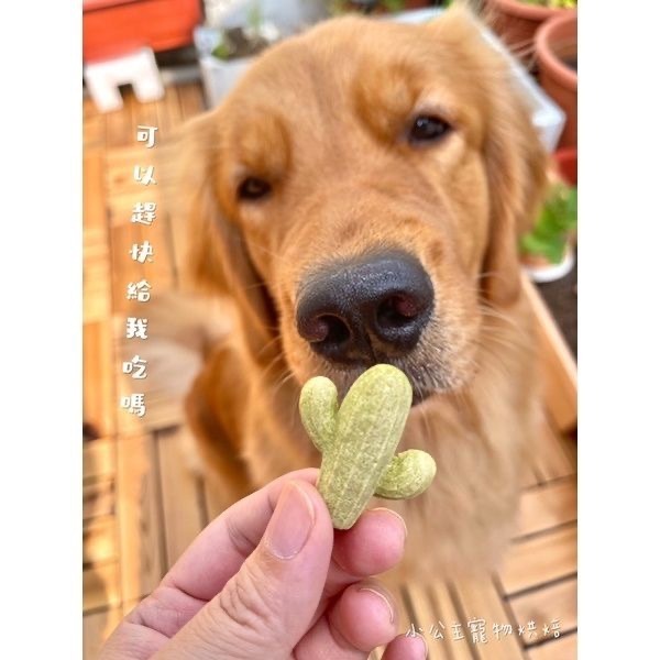 波菜仙人掌💕🐾小公主寵物烘培🐾💕寵物零食/雞肉乾/訓練獎勵/貓狗零食/手作零食/狗聚/交換禮物/磨牙-細節圖3