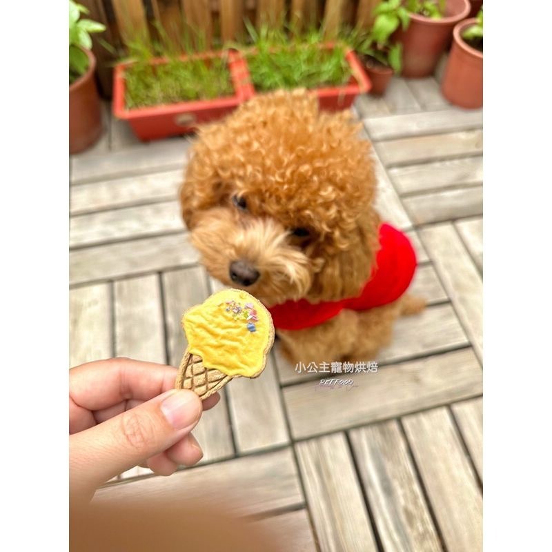 羊奶冰淇淋💕🐾小公主寵物烘培🐾💕貓狗寵物零食/雞肉條/訓練獎勵/雞肉乾/手做餅乾/狗聚/交換禮物/磨牙/露營野餐-細節圖4