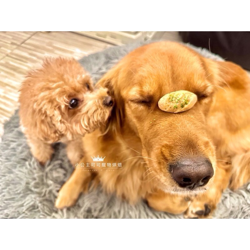 菠菜法國麵包💕🐾小公主寵物烘培🐾💕/貓狗寵物零食/雞肉條/訓練獎勵/雞肉乾/手做餅乾/狗聚/交換禮物磨牙露營野餐-細節圖2