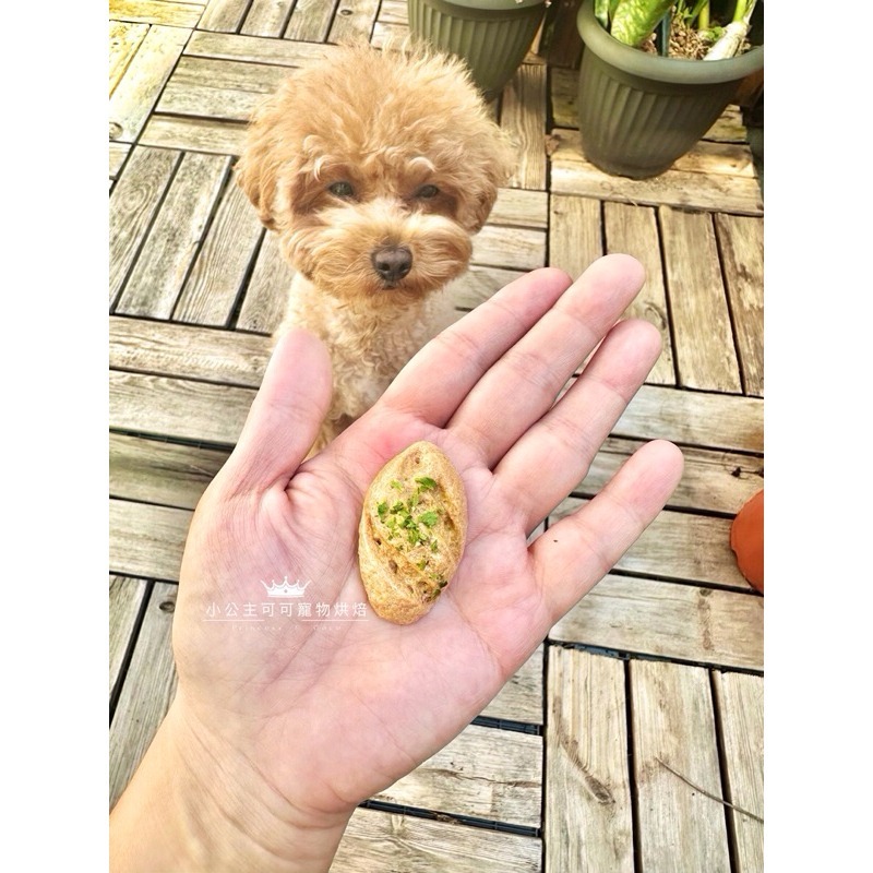 菠菜法國麵包💕🐾小公主寵物烘培🐾💕/貓狗寵物零食/雞肉條/訓練獎勵/雞肉乾/手做餅乾/狗聚/交換禮物磨牙露營野餐-細節圖4