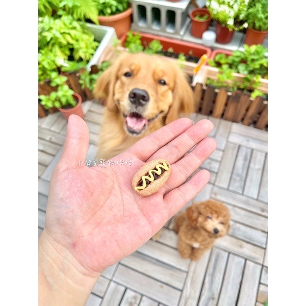 大亨堡💕🐾小公主寵物烘培🐾💕貓狗寵物零食/雞肉條/訓練獎勵/雞肉乾/手做餅乾/狗聚/交換禮物/磨牙/露營-細節圖2