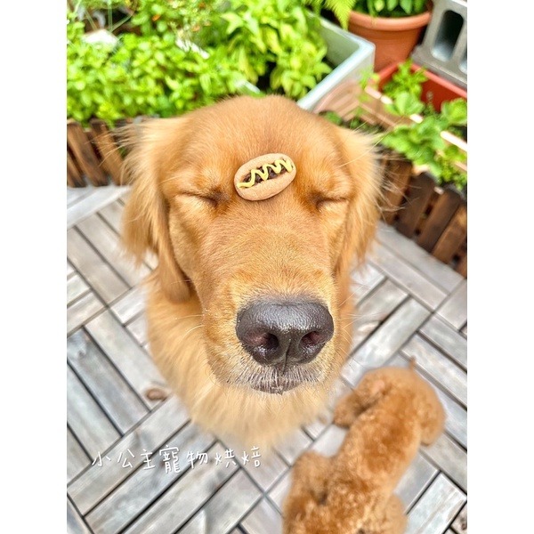大亨堡💕🐾小公主寵物烘培🐾💕貓狗寵物零食/雞肉條/訓練獎勵/雞肉乾/手做餅乾/狗聚/交換禮物/磨牙/露營-細節圖3