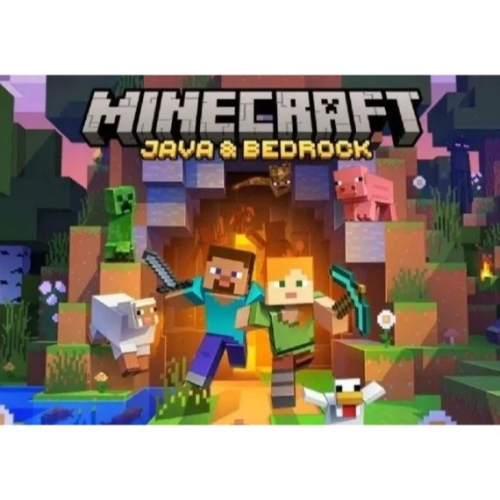 Minecraft：Java 版和 Bedrock 版