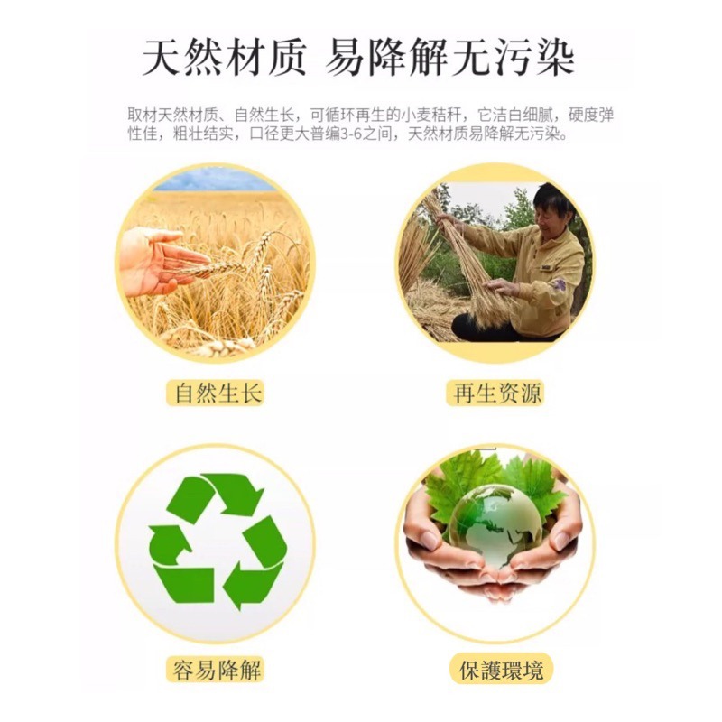 🍀台灣現貨🍀小麥吸管 環保吸管 一次性吸管 小麥秸稈吸管 可降解吸管 獨立包裝吸管 直吸管 天然吸管 麥稈吸管 吸管-細節圖4