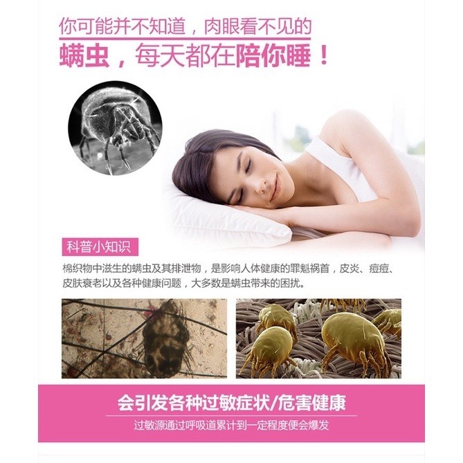 🔥買10送1🔥除塵螨片 除蟎片 消除塵螨 誘補塵蟎貼 除蟎貼片 補蟎神器 塵蟎片 防蟎墊 防蹣貼 塵螨布 除塵蟎貼-細節圖3