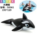 🍀台灣現貨🍀INTEX 充氣坐騎 水上坐騎 鯨魚坐騎 充氣浮排 浮床 戲水玩具 水上玩具 浮具 夏天戲水 游泳戲水-規格圖9