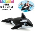 INTEX 黑鯨魚水上坐騎