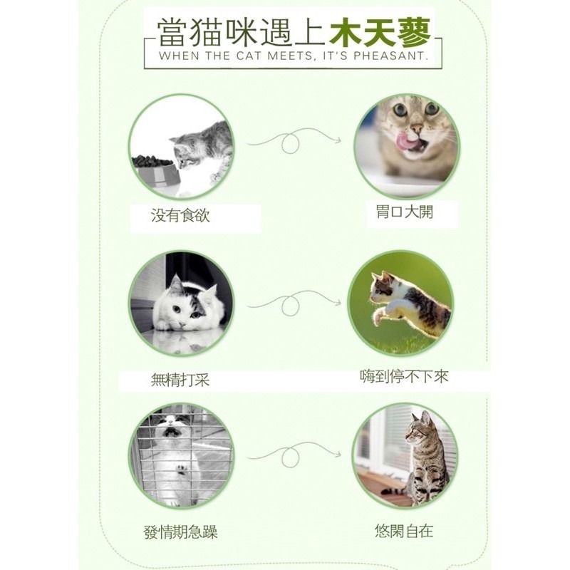 🔥台灣現貨買5送1🔥貓咪木天蓼 木天蓼棒 貓草球 貓草 貓咪用品 貓爪 貓奴 貓薄荷 貓掌 貓玩具 磨牙 貓零食 潔-細節圖2