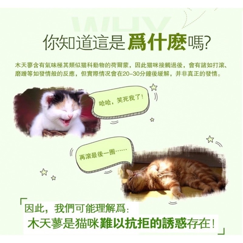 🔥台灣現貨買5送1🔥貓咪木天蓼 木天蓼棒 貓草球 貓草 貓咪用品 貓爪 貓奴 貓薄荷 貓掌 貓玩具 磨牙 貓零食 潔-細節圖3
