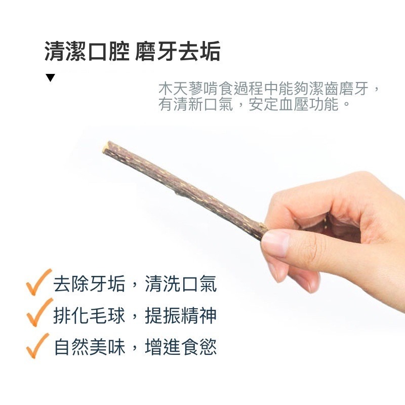 🔥台灣現貨買5送1🔥貓咪木天蓼 木天蓼棒 貓草球 貓草 貓咪用品 貓爪 貓奴 貓薄荷 貓掌 貓玩具 磨牙 貓零食 潔-細節圖4