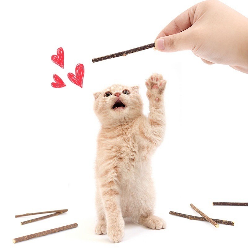 🔥台灣現貨買5送1🔥貓咪木天蓼 木天蓼棒 貓草球 貓草 貓咪用品 貓爪 貓奴 貓薄荷 貓掌 貓玩具 磨牙 貓零食 潔-細節圖8