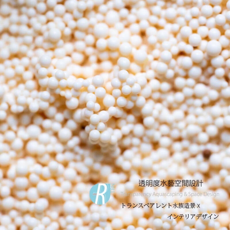 透明度 TRN｜SL-AQUA 淞亮｜MORE系列 弱酸陰離子除氮樹脂｜100ml｜抑制藻類 去NO3 濾材-細節圖3