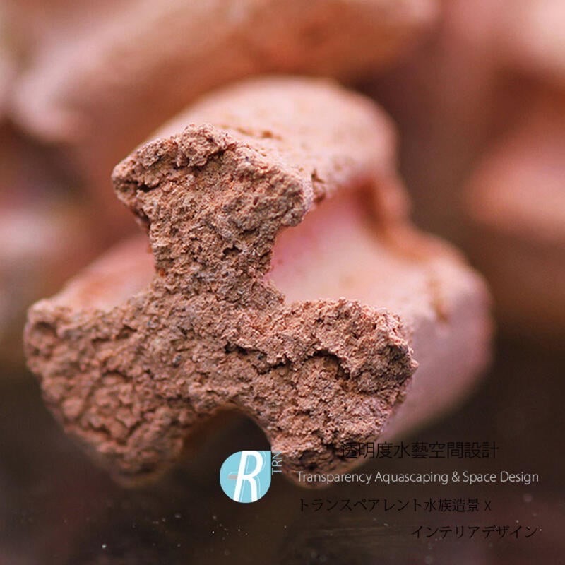 透明度 TRN｜AQUARIO neo｜MEDIA PURE 優質中性濾材｜5L｜多孔性 培菌石 培菌環 陶瓷環-細節圖2