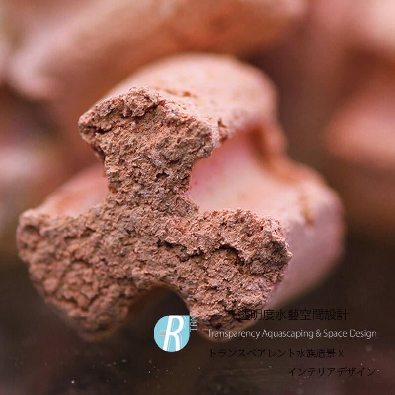 透明度 TRN｜AQUARIO neo｜MEDIA PURE 優質中性濾材｜60g｜多孔性 培菌石 培菌環 陶瓷環-細節圖2