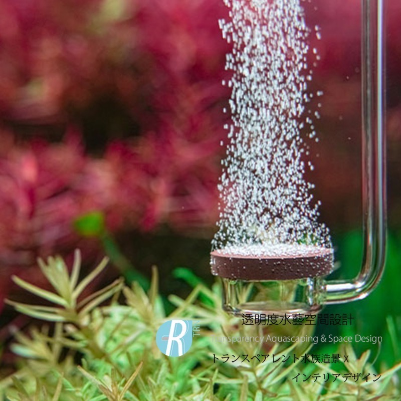 透明度 TRN｜AQUARIO neo｜CO2 Diffuser EXTEND SPECIAL 陶瓷細化器 S｜極細氣泡-細節圖2