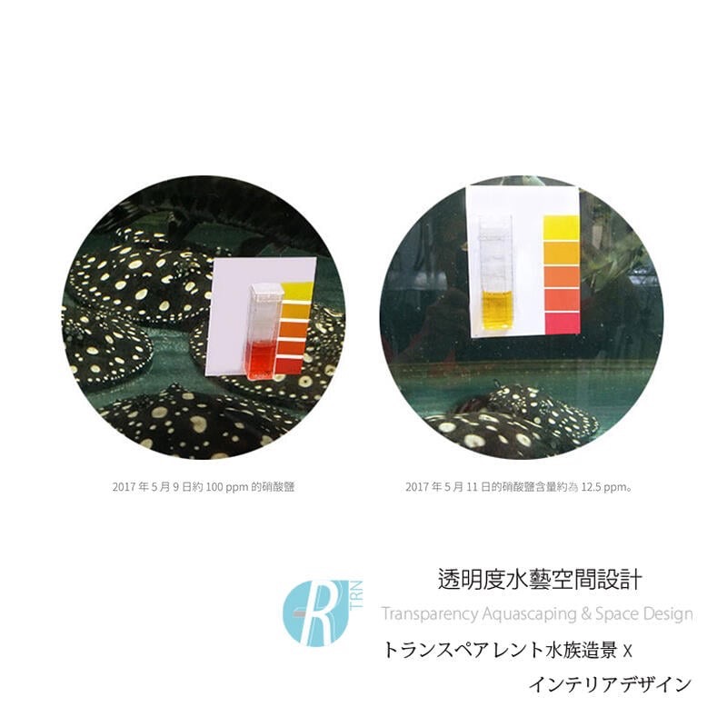 透明度 TRN｜AQUARIO neo｜V 水質安定產卵促進液｜300ml｜黑水 軟水 降酸 揚色 改善食慾 降硝酸鹽-細節圖3