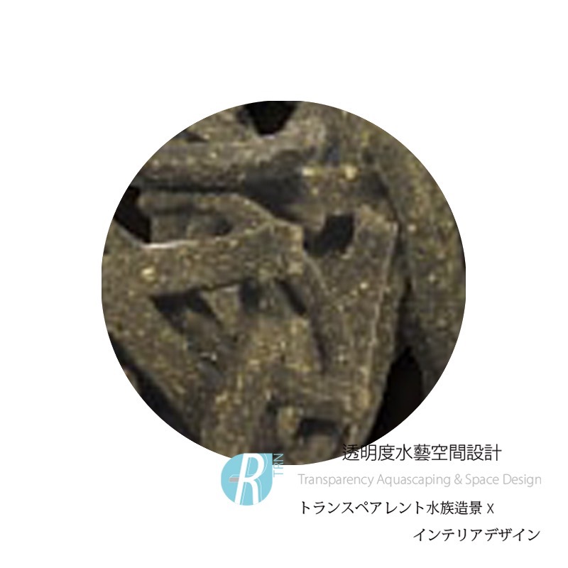 透明度 TRN｜SL-AQUA 淞亮｜MORE系列 魔餌 濃白飼料｜沉下性｜條狀｜30g｜米蝦 水晶蝦-細節圖2