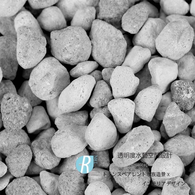 透明度 TRN｜Seachem 西肯｜Matrix 多孔隙生物石｜粗顆粒｜250/500ml｜培菌石 陶瓷環 濾材-細節圖3