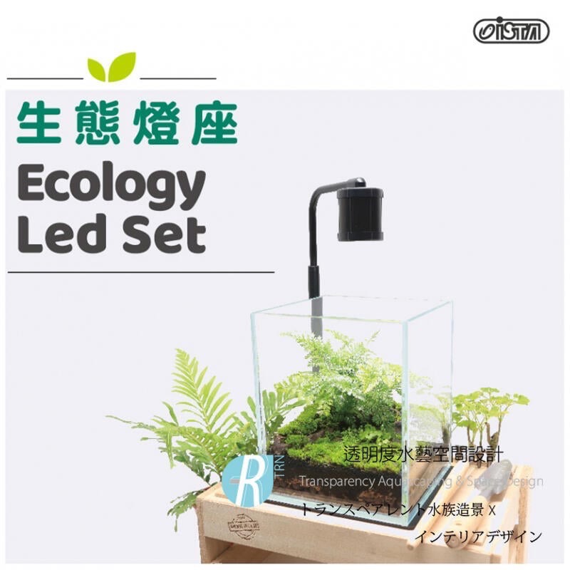透明度 TRN｜iSTA 伊士達｜生態缸燈｜15cm｜專業型水草LED座燈 多肉塊根植物燈-細節圖2