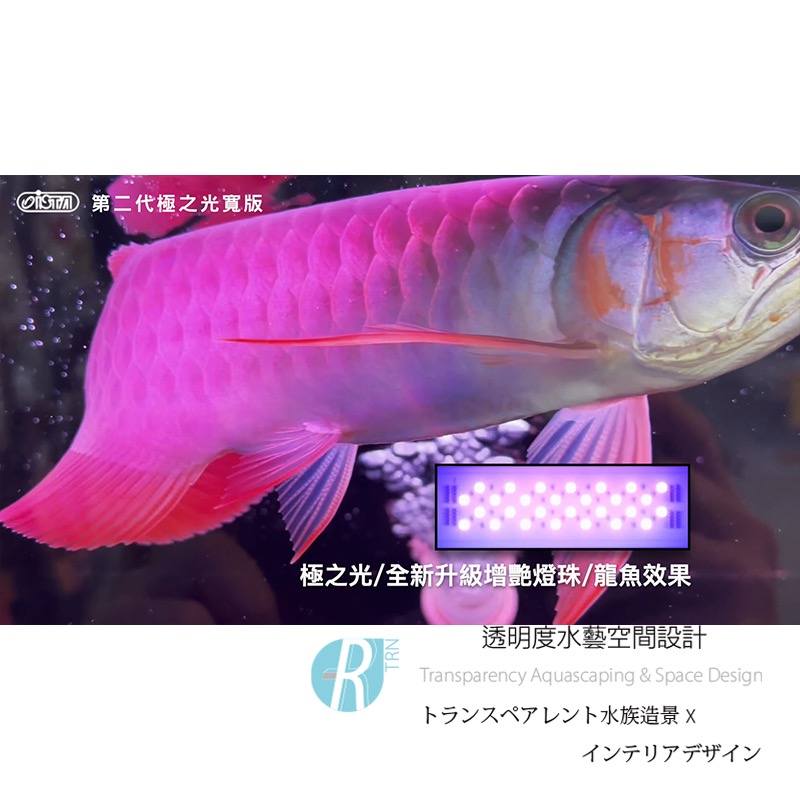 透明度 TRN｜iSTA 伊士達｜2代極之光寬版水族LED燈｜3尺｜90~105cm｜玩家型增豔跨燈-細節圖3