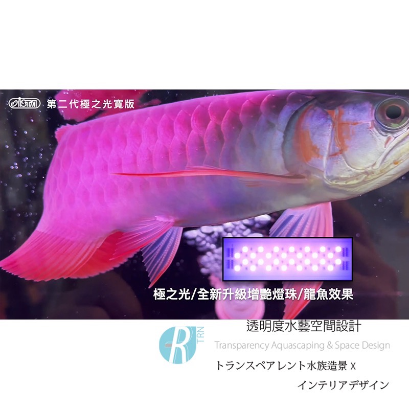 透明度 TRN｜iSTA 伊士達｜2代極之光寬版水族LED燈 5尺｜150~165cm｜玩家型增豔跨燈-細節圖3