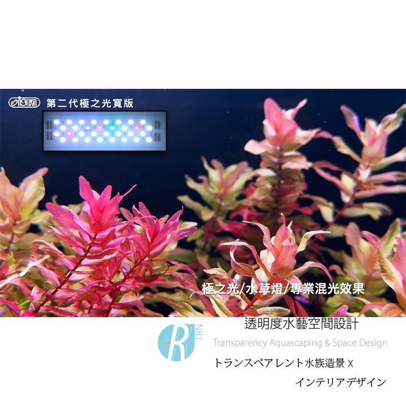 透明度 TRN｜iSTA 伊士達｜2代極之光寬版水族LED燈 5尺｜150~165cm｜玩家型水草跨燈-細節圖2