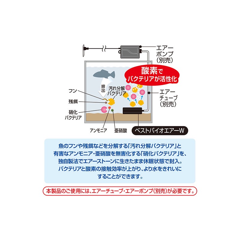 透明度 TRN｜GEX 五味｜Bio AIR W 雙菌淨水氣泡石 棒型50｜5cm｜打氣石-細節圖5