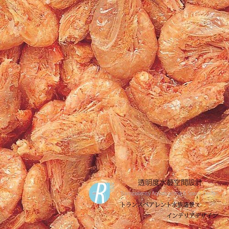 透明度 TRN｜Tetra 德彩｜Krill-E 南極蝦飼料｜浮上性｜全蝦｜100g-細節圖2
