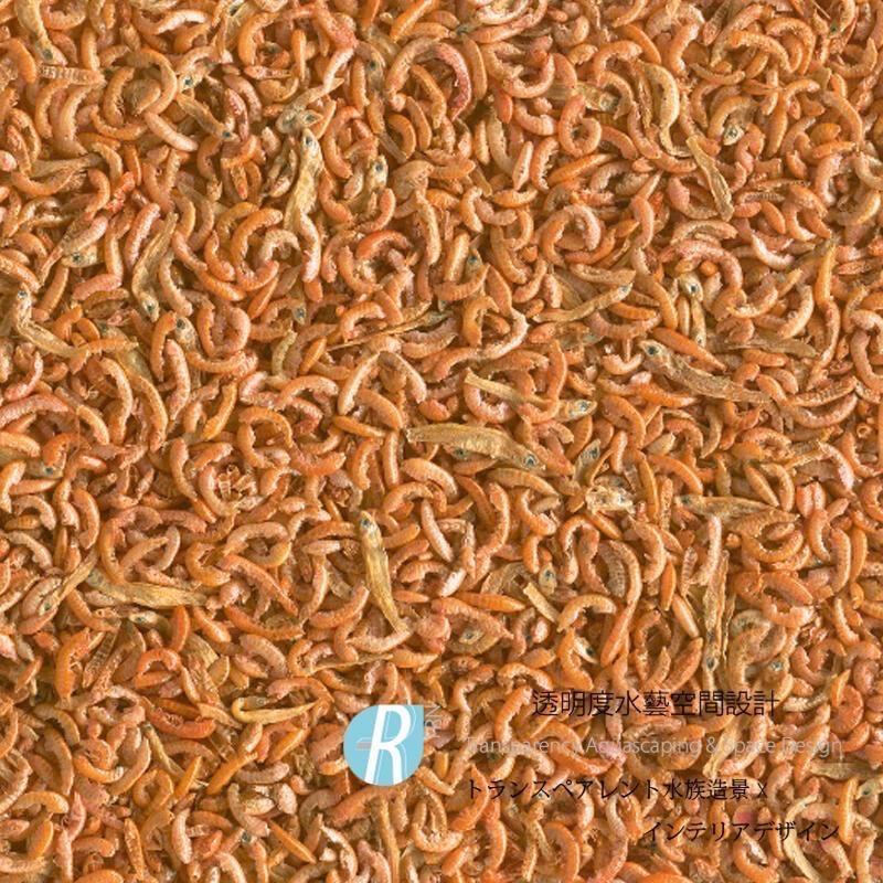 透明度 TRN｜Tetra 德彩｜Gammarus 乾燥淡水蝦飼料｜浮上性｜全蝦｜250ml-細節圖2