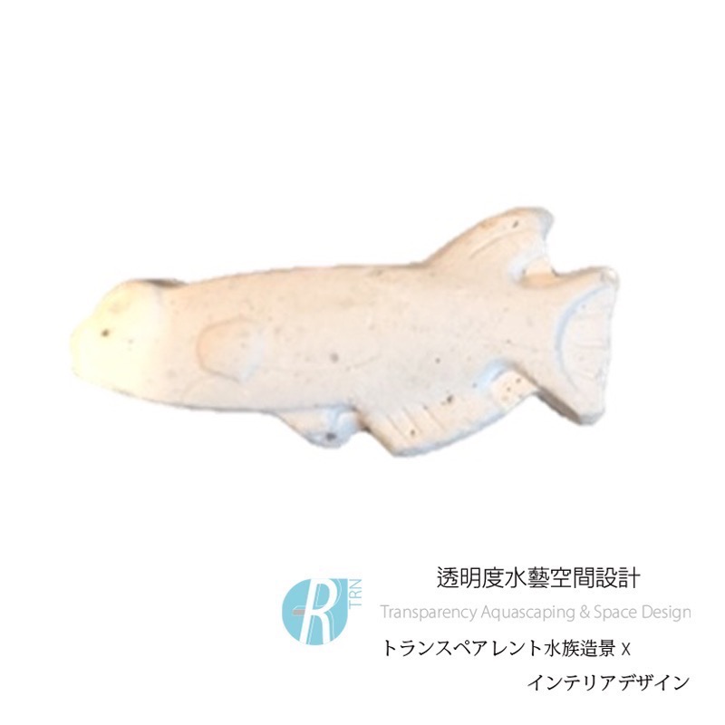 透明度 TRN｜COMET 可美多｜小型魚三日假期飼料｜沈下性｜大顆粒｜3錠-細節圖2