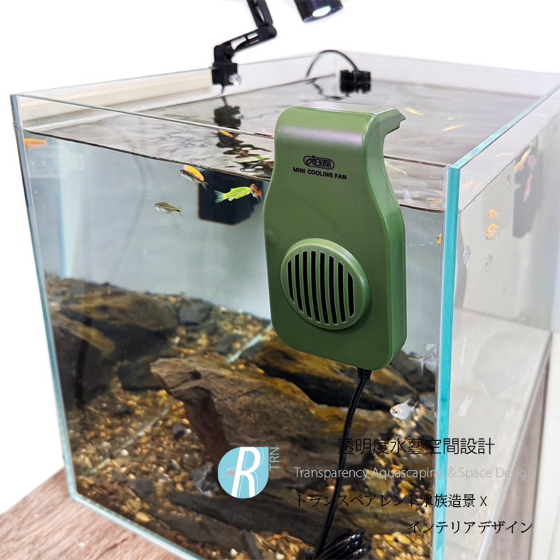 透明度 TRN｜iSTA 伊士達｜Mini Cooling FAN USB極涼迷你風扇｜奶茶色-細節圖2