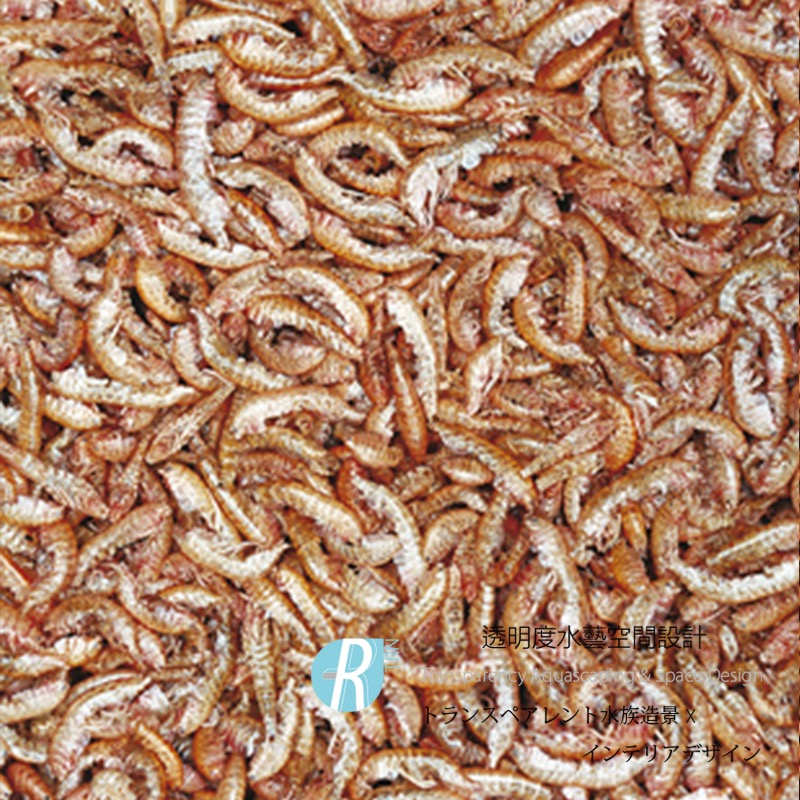 透明度 TRN｜Tropical 德比克｜gammatus 高蛋白乾蝦飼料｜浮上性｜全蝦｜1L-細節圖2